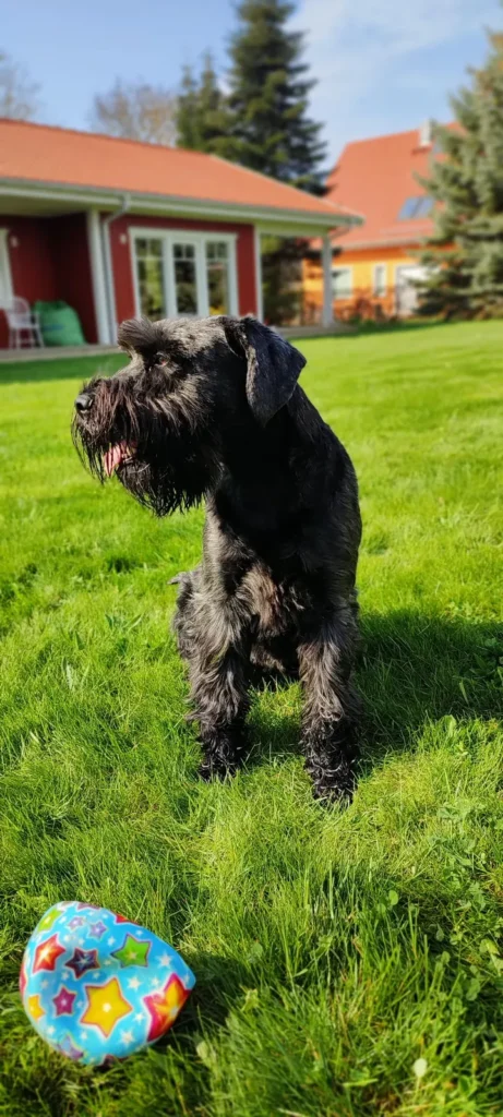 Lotte steht auf dem Rasen, vor ihr liegt ein Ball.